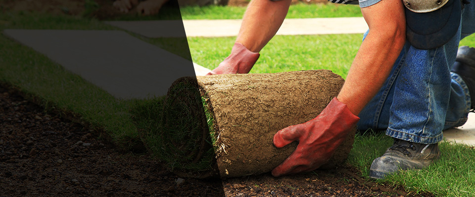Techny Landscapers